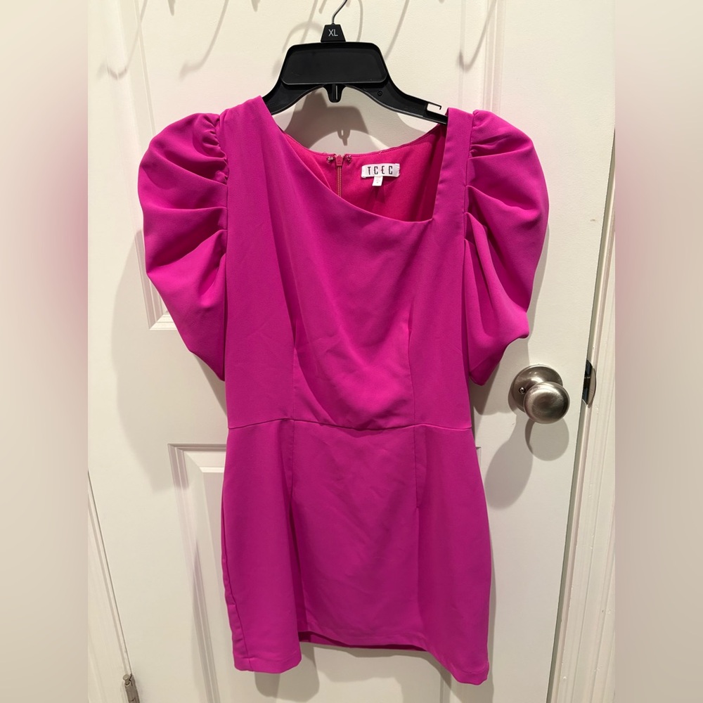 TCEC Brand Pink Puff Sleeve Dress